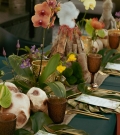 Fiesta de cumpleaños (Parque Jurásico)